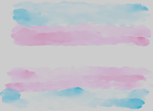 Blue, pink and white brush strokes in the order of the transgender flag