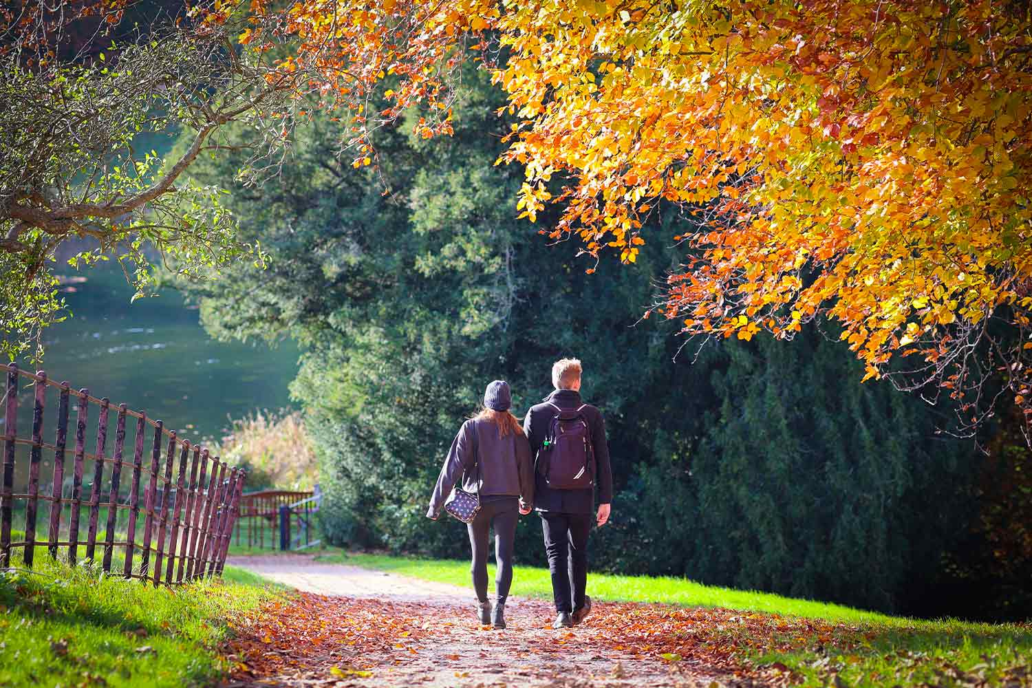 Two people walking on woodland path autumn colours of golds and reds