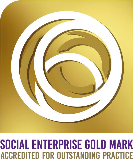 Social Enterprise Gold Mark accredited for outstanding practice logo