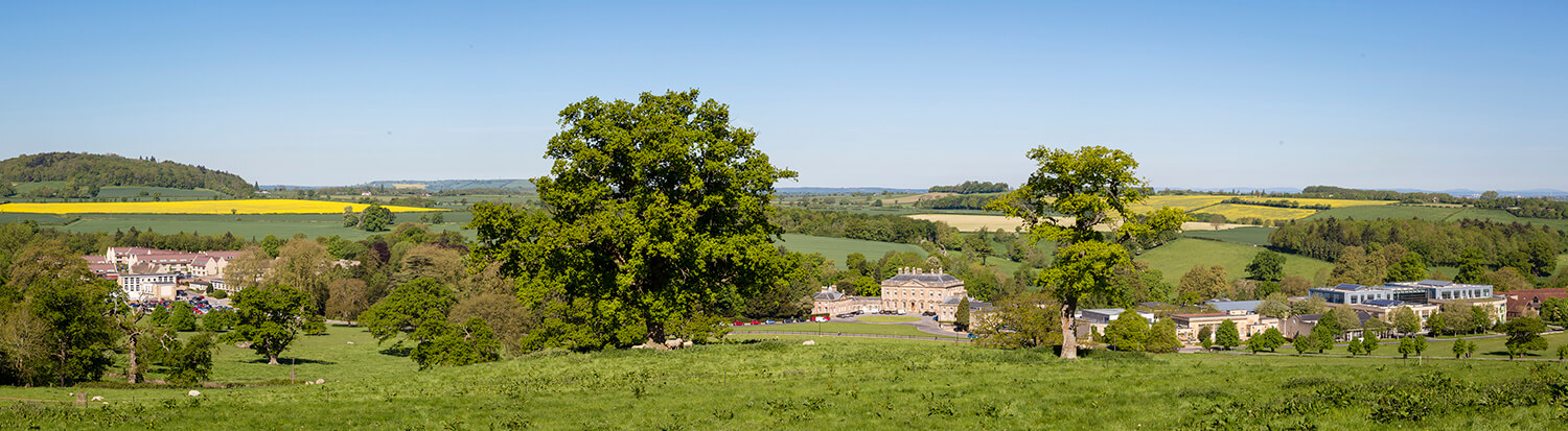 View of Newton Park campus in summertime