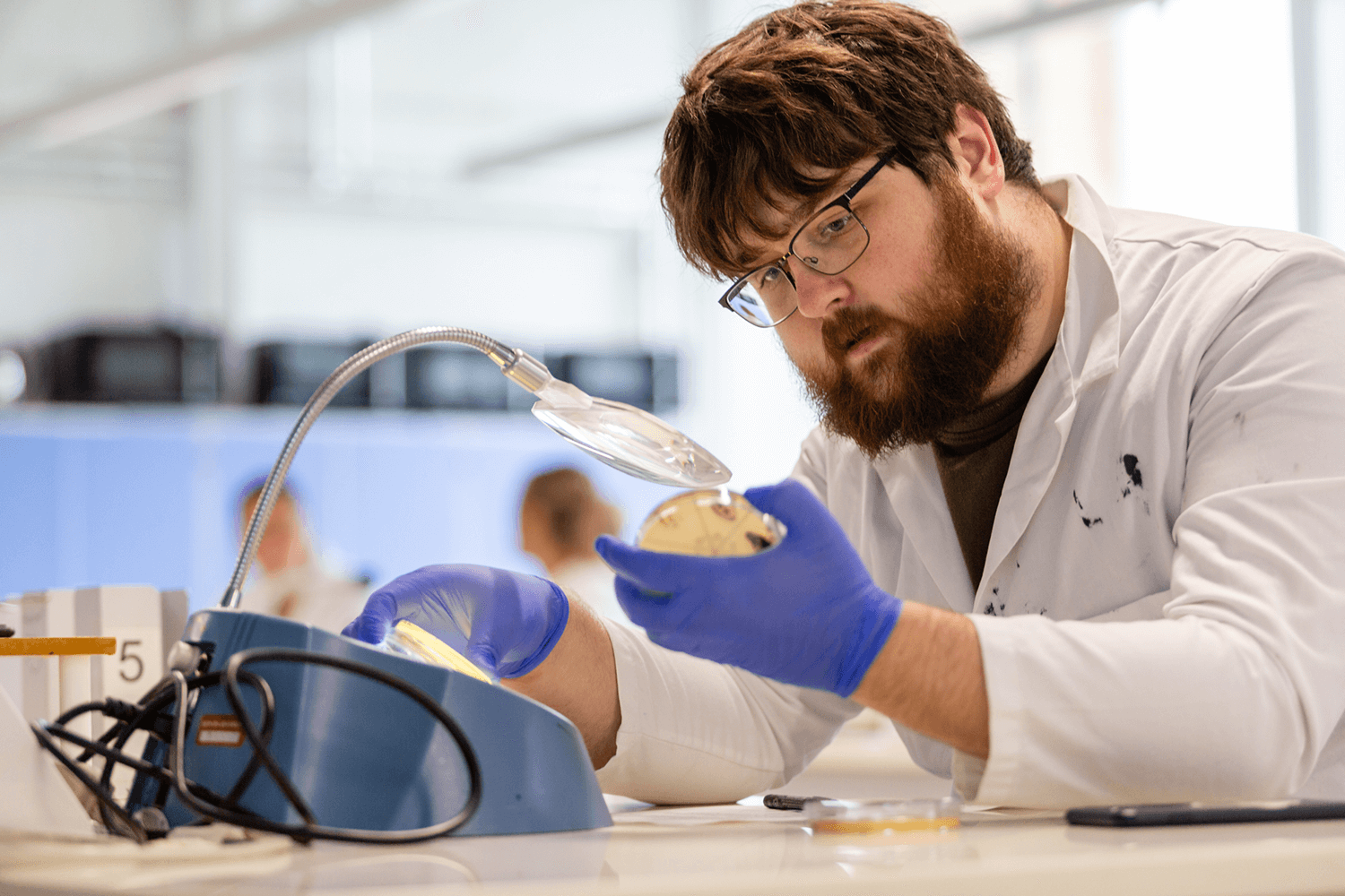 a student in a lab coat, goggles and gloves looks at a petri dish and writes observations