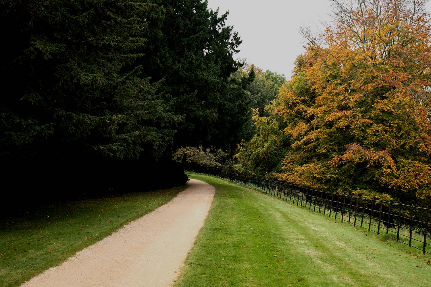 A gravel path leading through trees at Newton Park campus