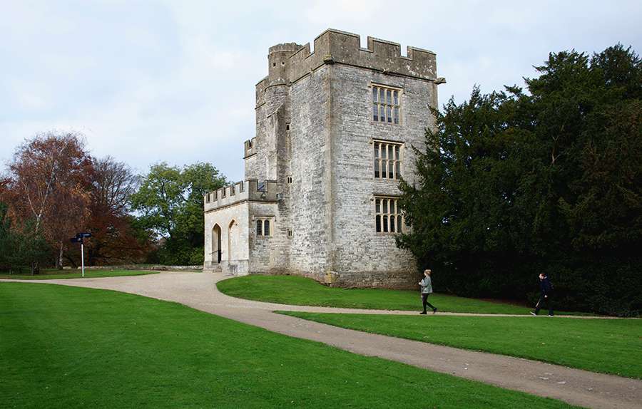 Castle building at Newton Park