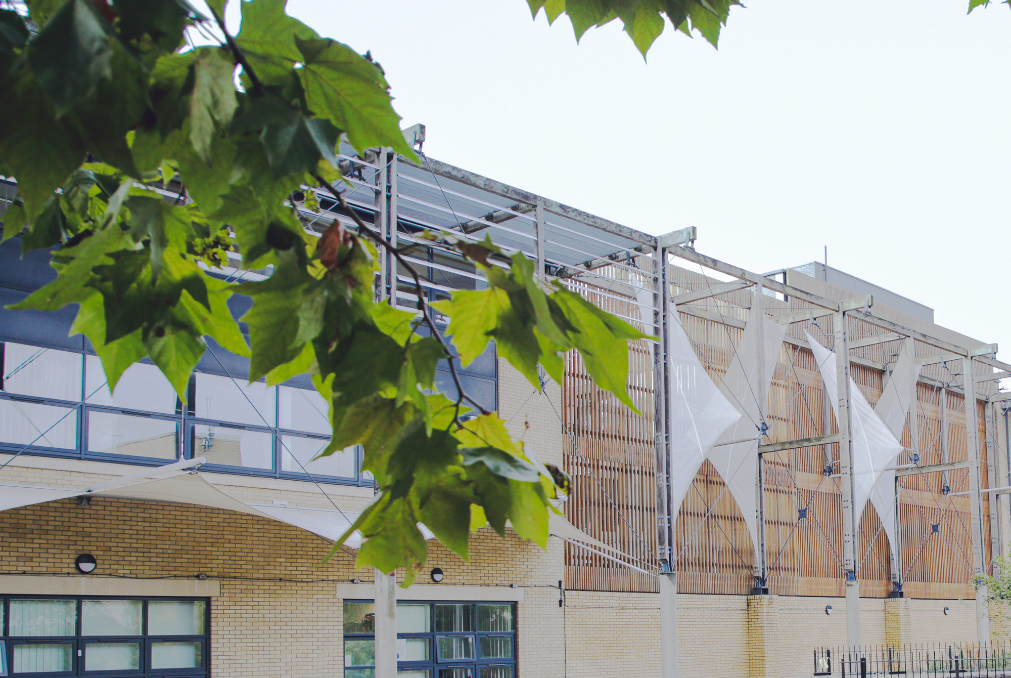 Light bricked building with leaves in foreground