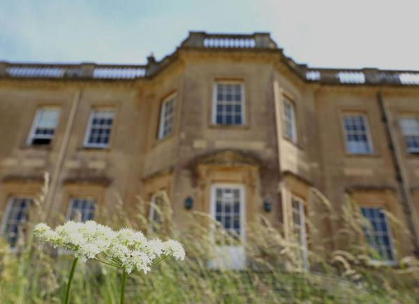 View of the back of Main House with flowers in the foreground