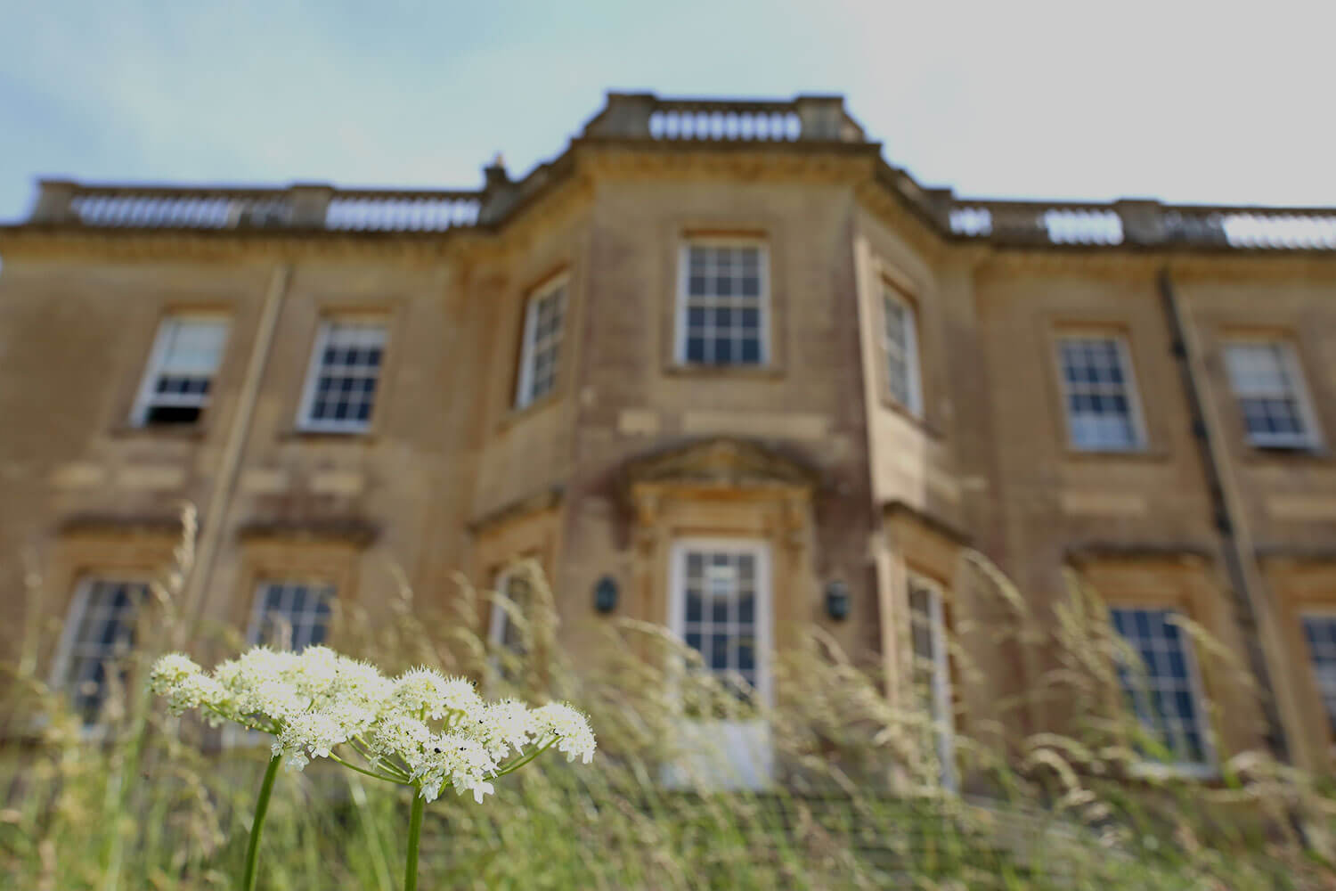 View of the back of Main House with flowers in the foreground