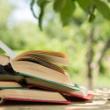 A stack of books in a green summery environment