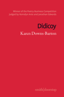Book cover for Didicoy