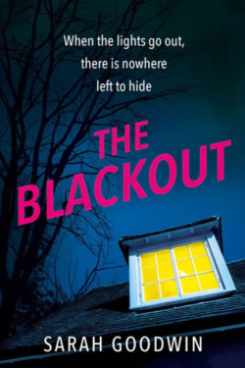 The Blackout book cover image