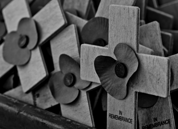 Wooden cross with poppies and in remembrance written on them. Black and white photo.