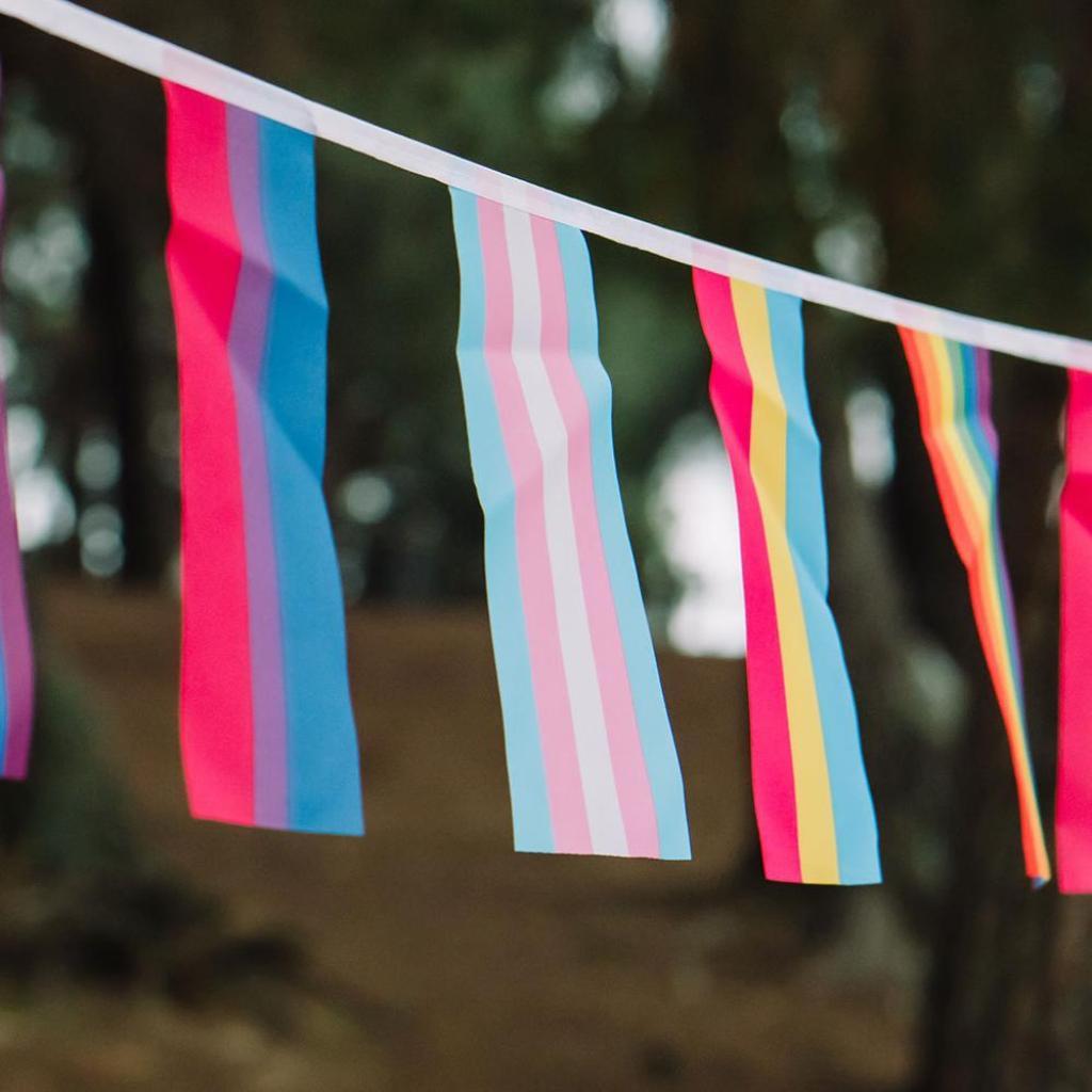 A selection of small pride flags forming bunting