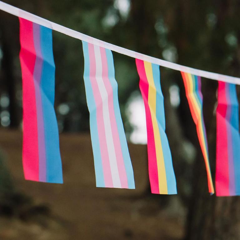 A selection of small pride flags forming bunting