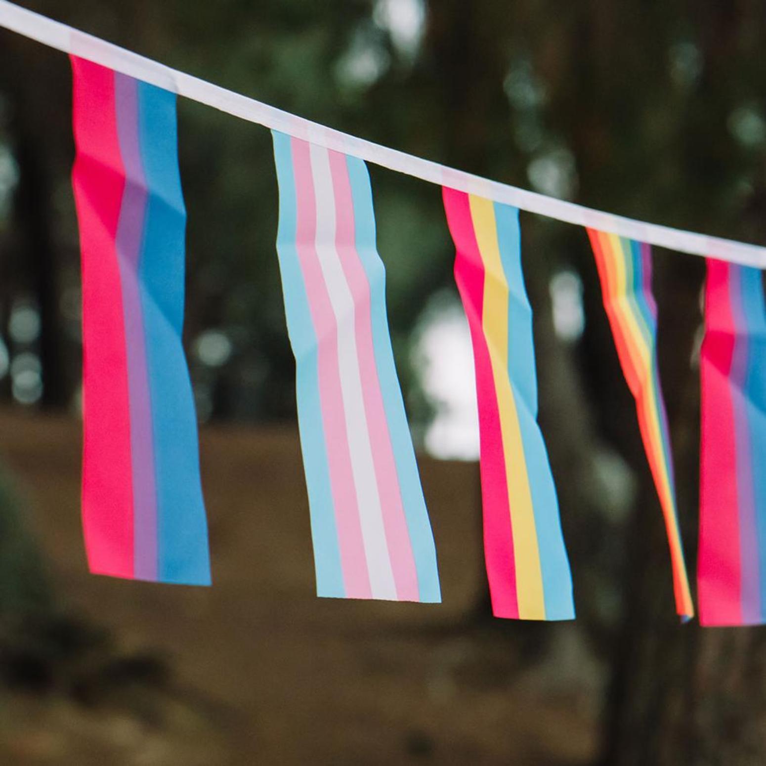 A selection of small pride flags forming bunting