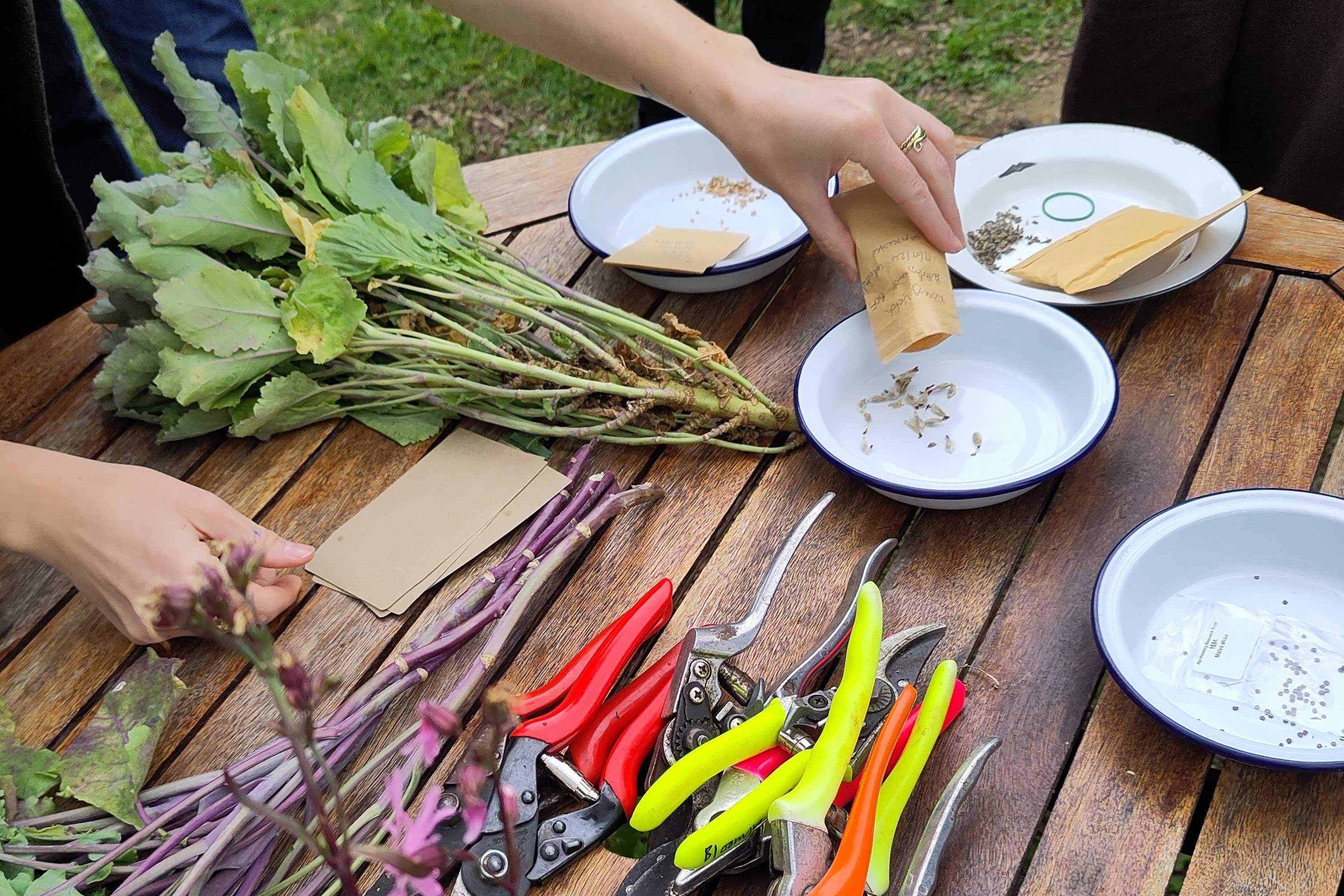 A wooden table with small plants and garden tools lying on it