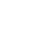 White BSU logo block