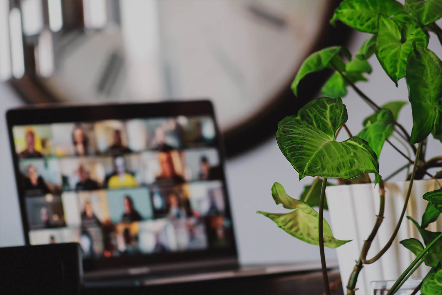 laptop showing people on a meeting