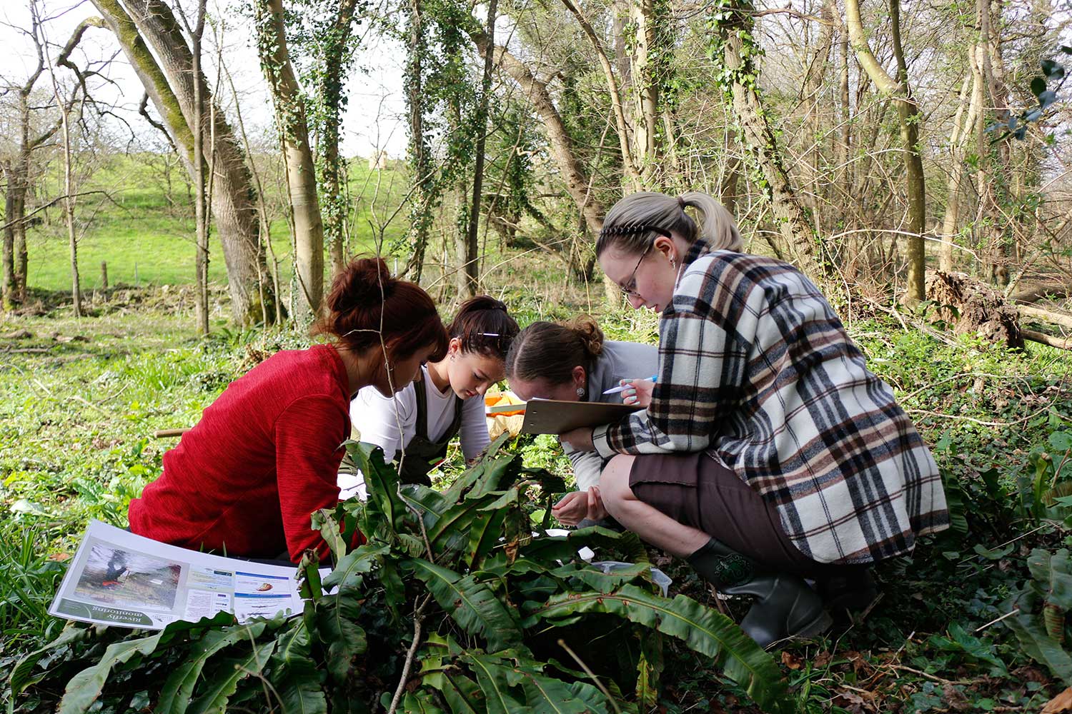 A group of students crouched down in the woods