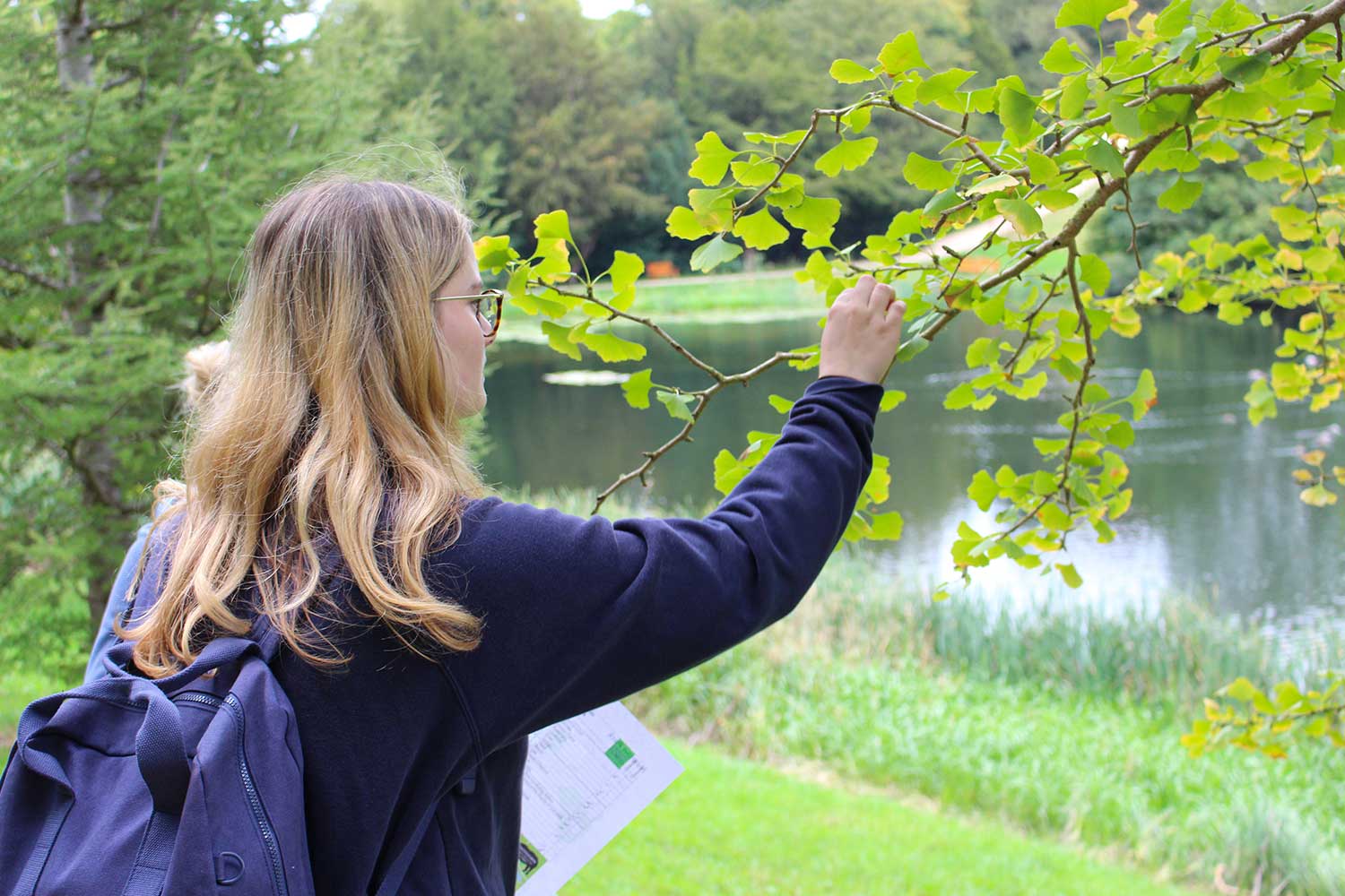 A person observing the leaves on a tree branch