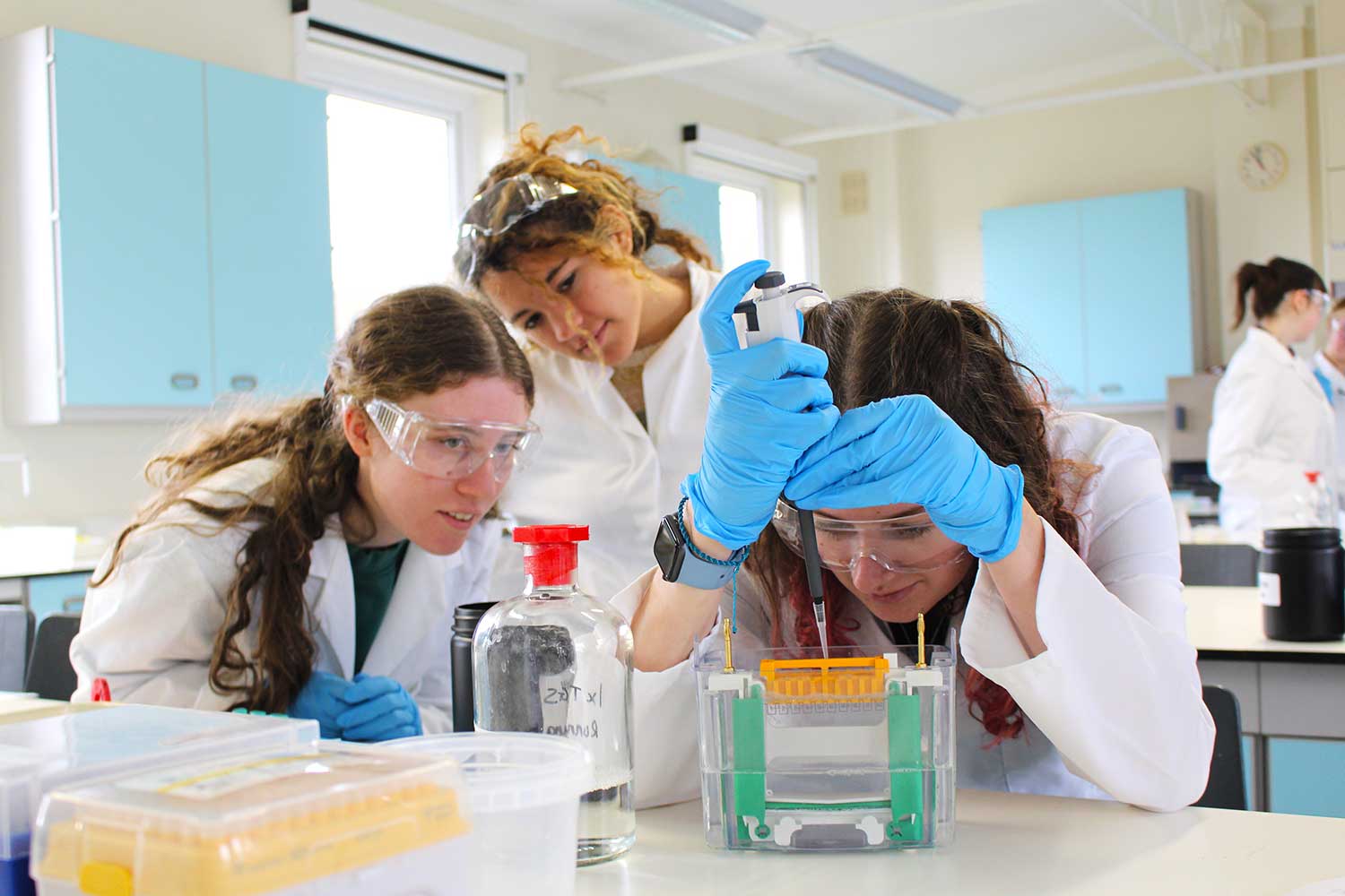 Students performing electrophoresis in the lab