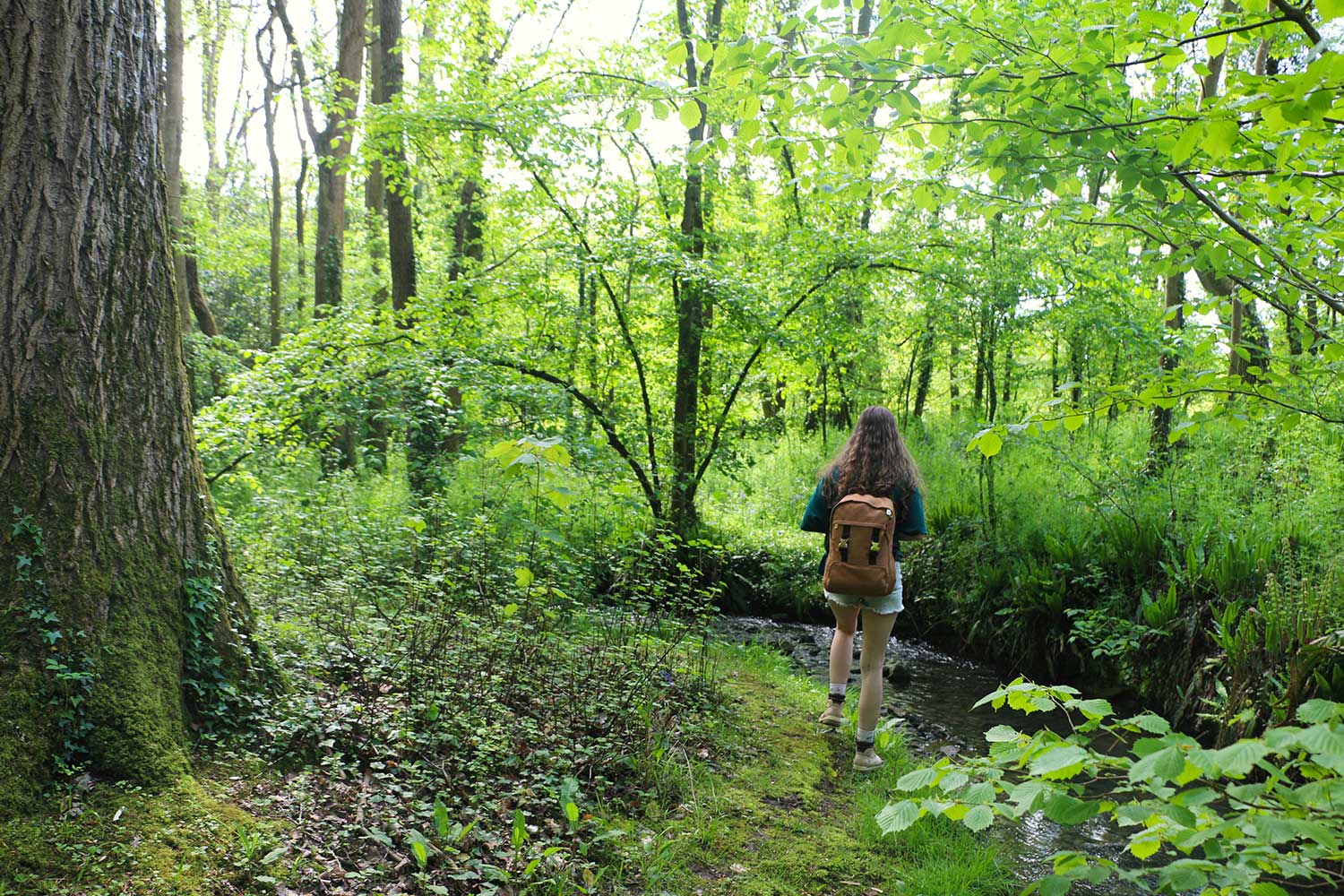 A student exploring the woods on campus