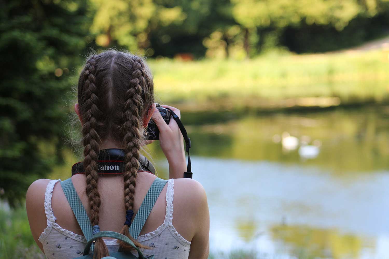 Wildlife photography at the campus lake