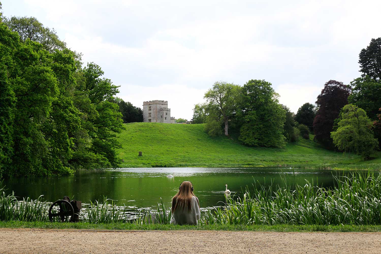 Recording sounds from wildlife on the campus lake