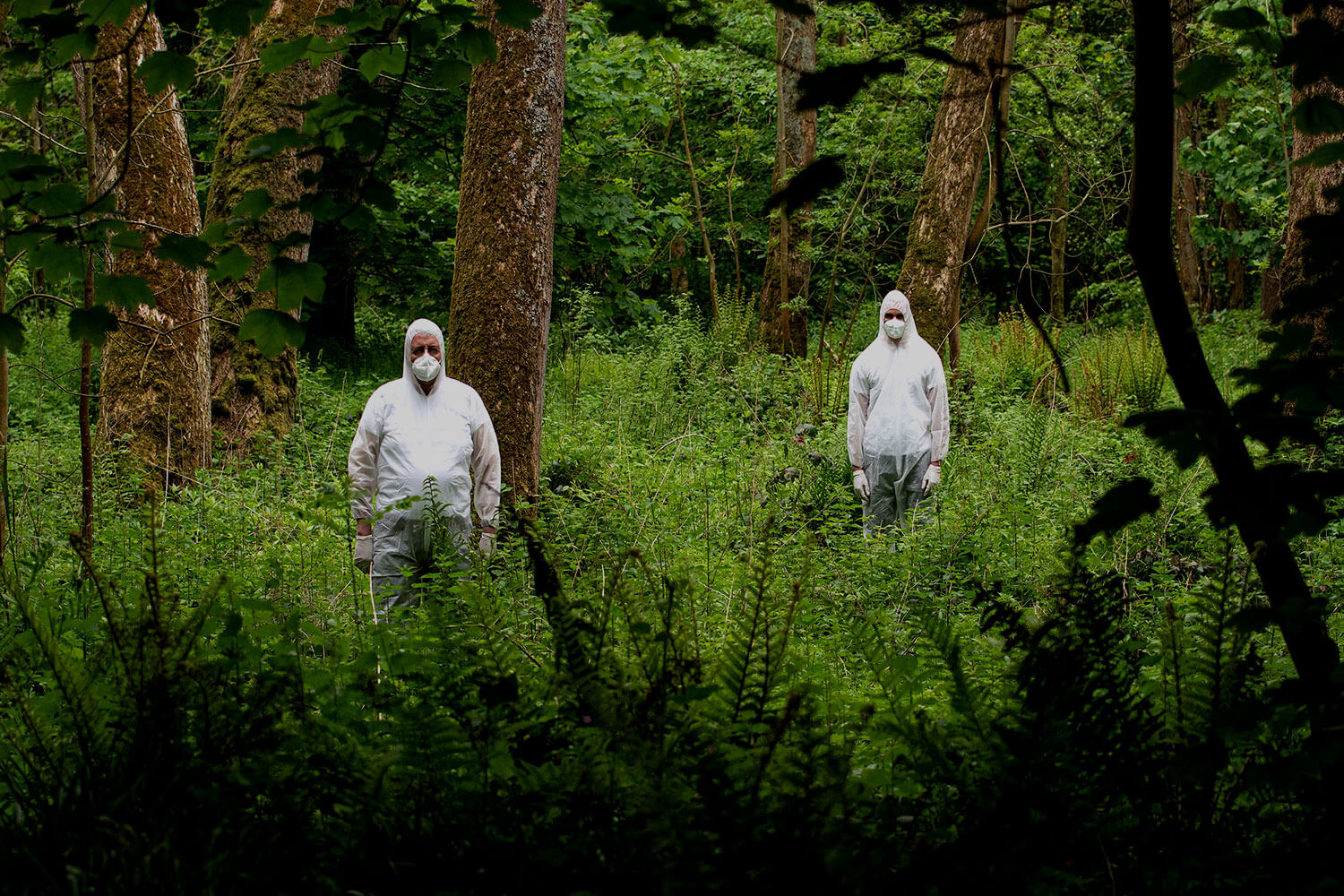 Two people dressed in forensic suits standing in an overgrown forest