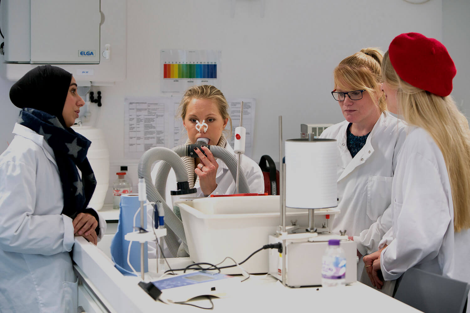 Four biology students conduct an experiment