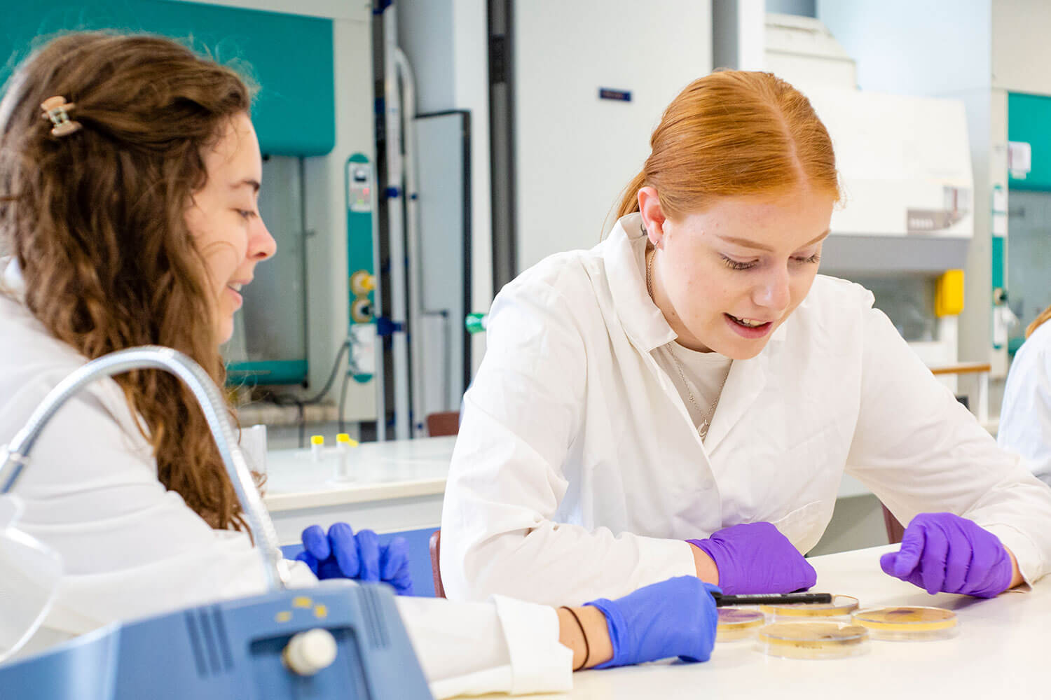 Two students examining samples in petrie dishes in a brightly lit lab