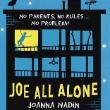 Book cover for Joe All Alone by Joanna Nadin