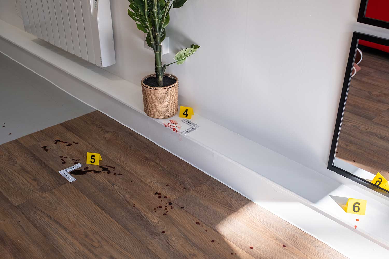 A close up of evidence in a fake crime scene investigation