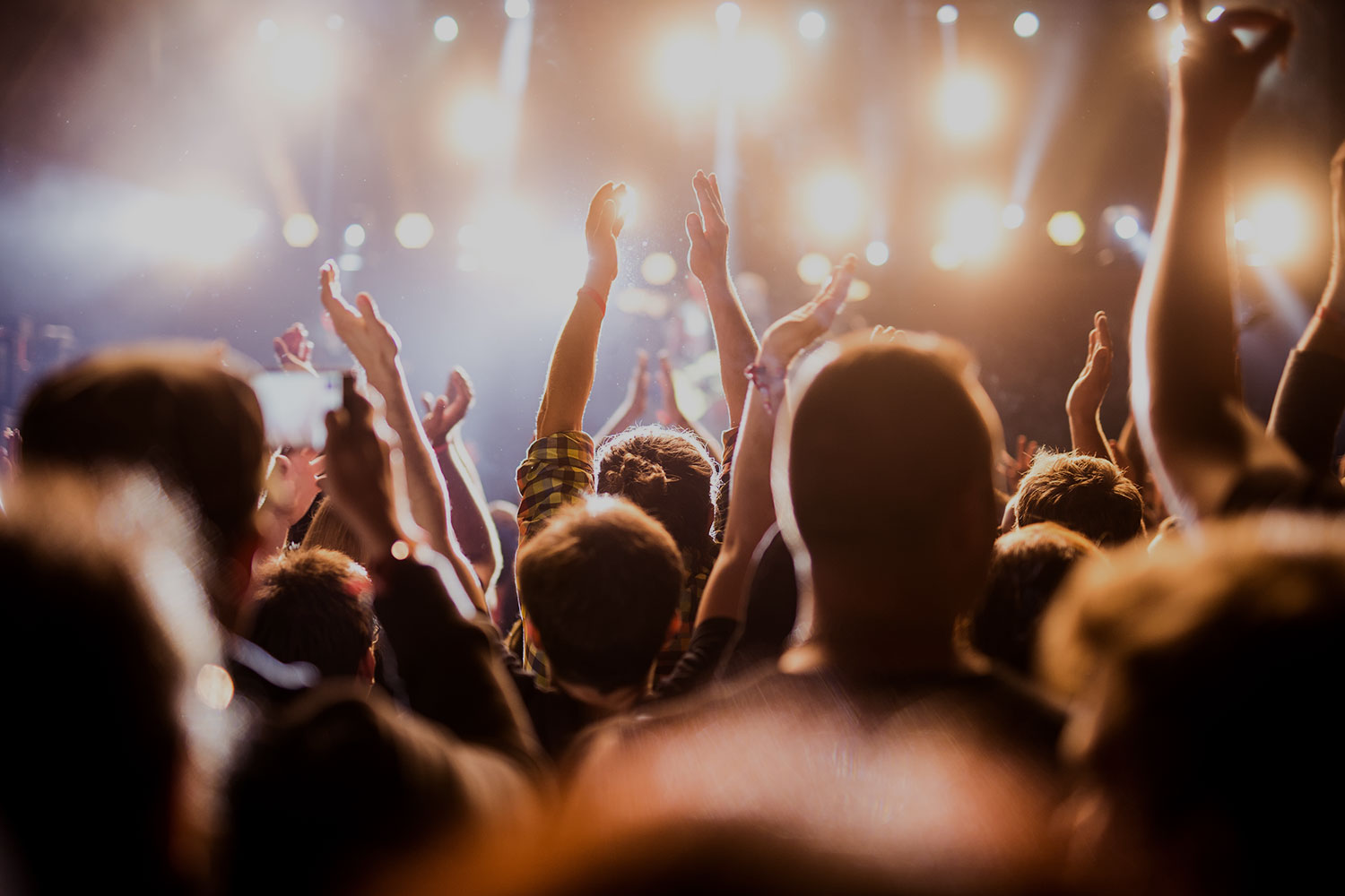 An excited crowd at a concert