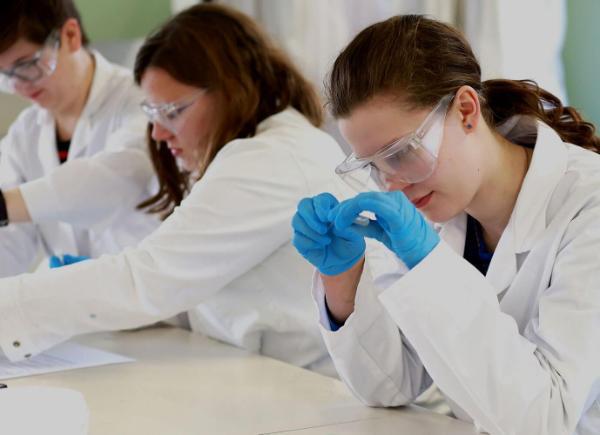 Students working in a lab