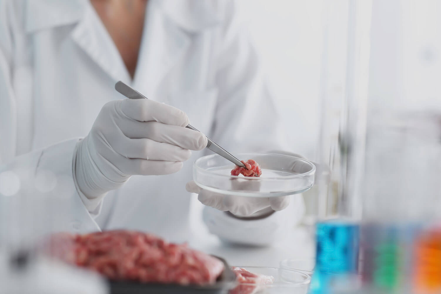 A scientist examines a food sample