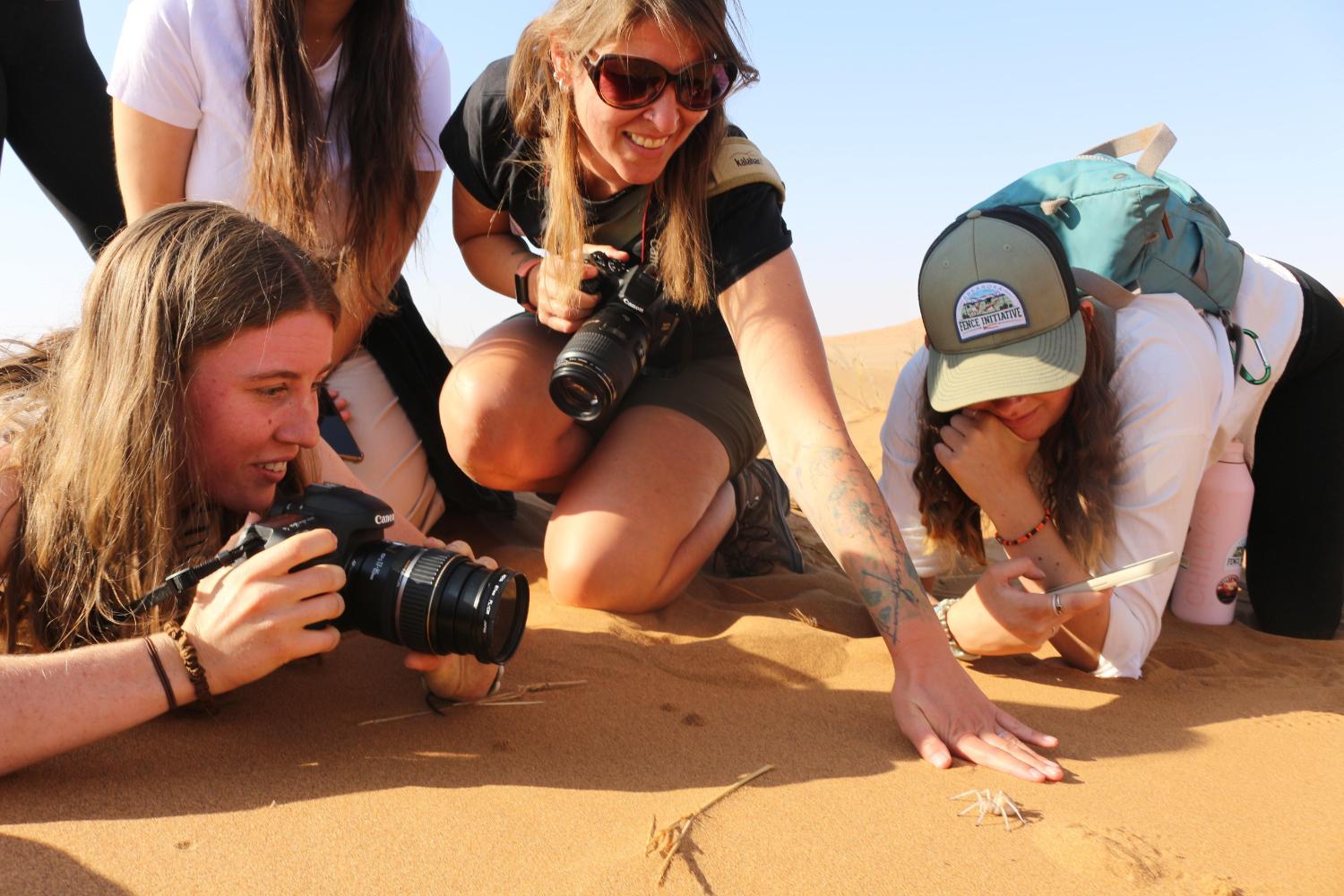A group of students crouch to photograph a crab in the desert