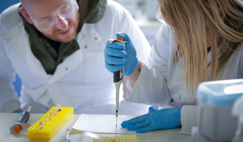 Students conducting a science experiment
