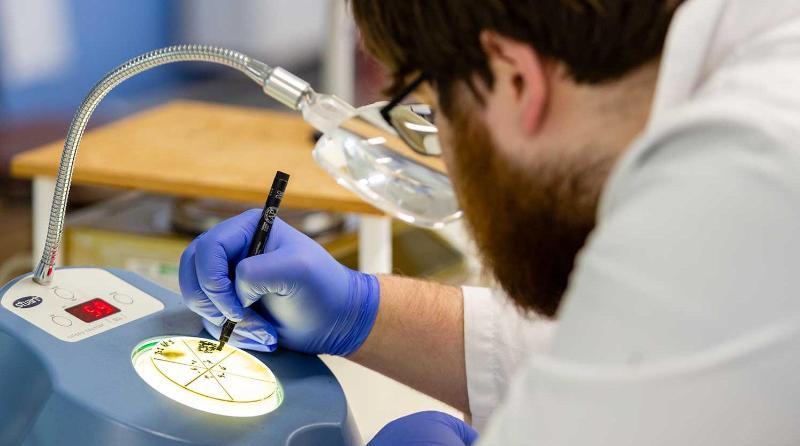 A close up of a student conducting a science experiment