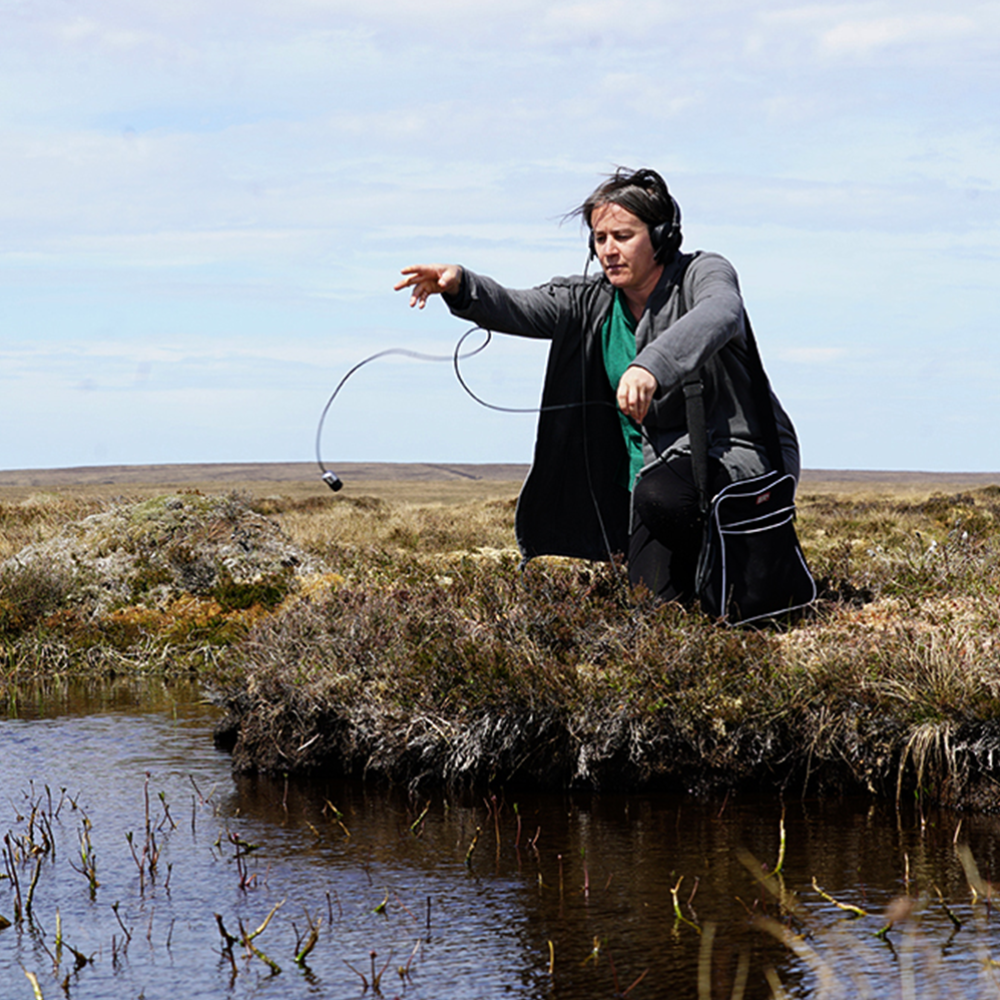 A person crouched on a river bank throwing a microphone into the water