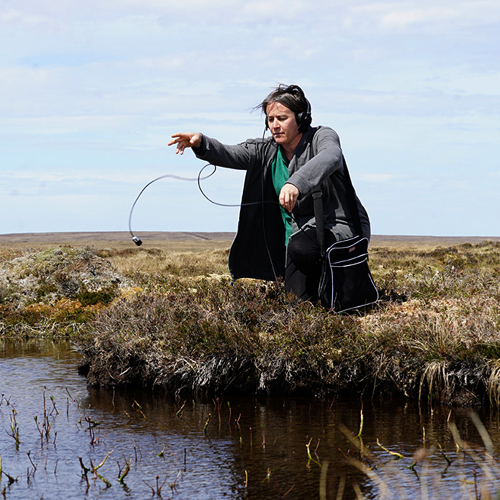 Introduction to Underwater Recording