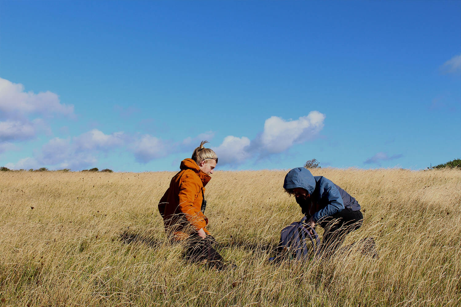 Two students kneeling in a hay field under a blue sky carrying out survey work
