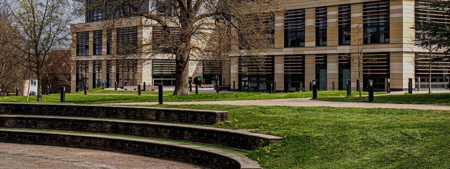 The amphitheatre at Bath Spa University with a building sat behind green trees