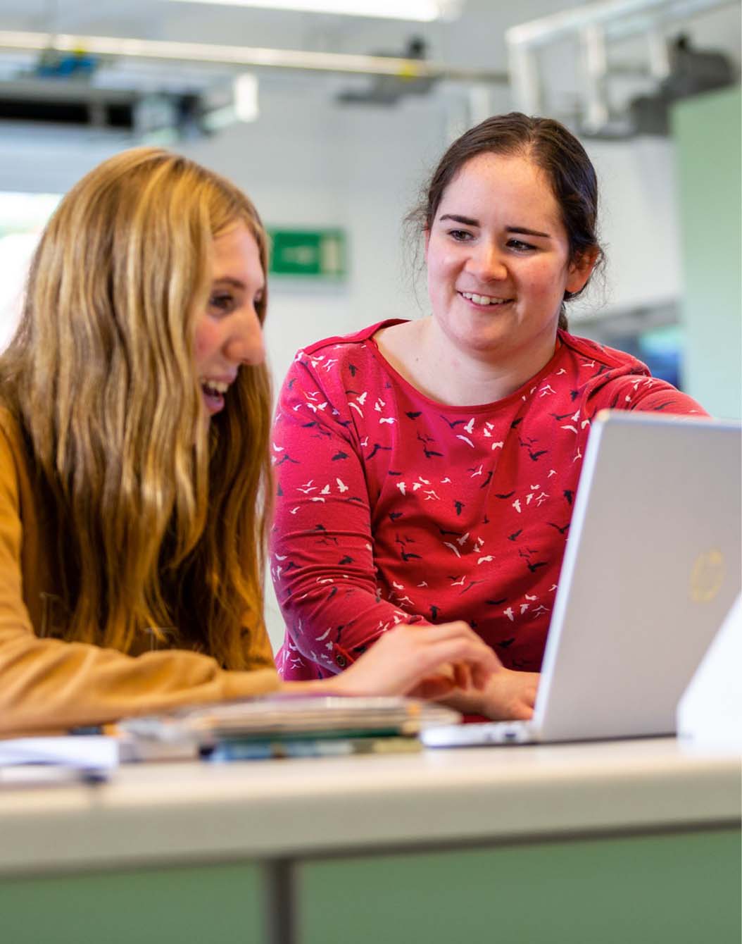Student and tutor looking at a laptop screen.