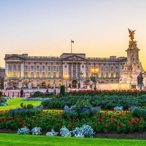 Buckingham Palace with lush green gardens at sunset