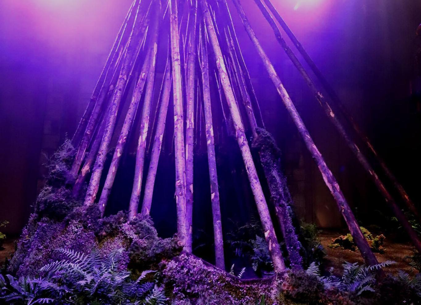 A tipi structure made from tree branches, surrounded by ferns, in a mysterious purple light