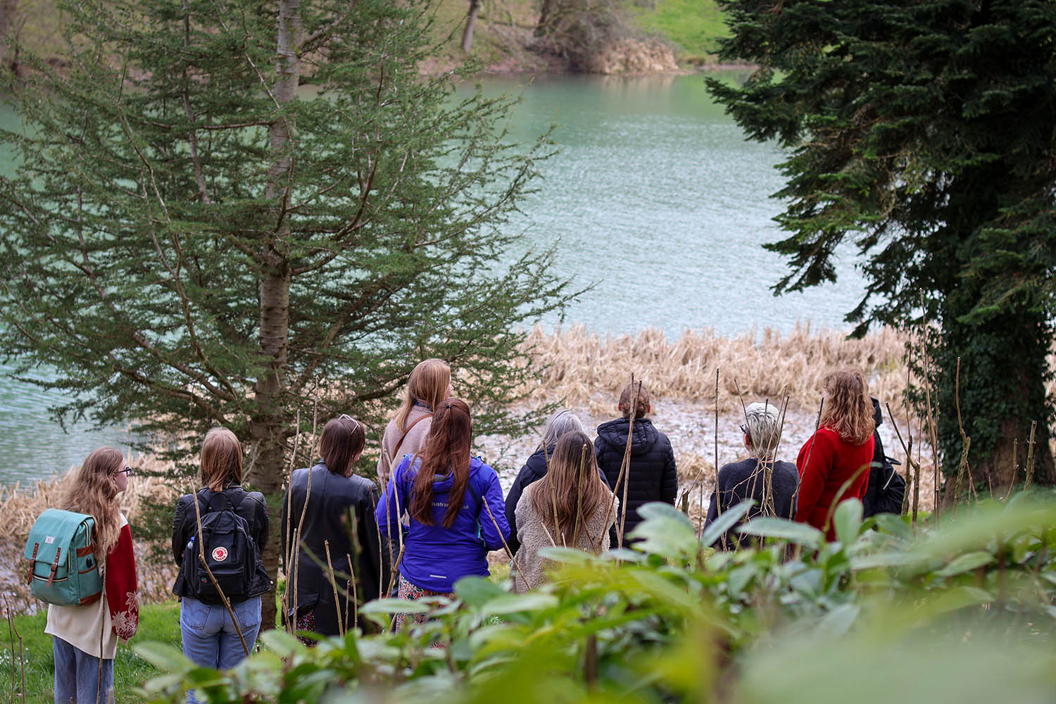 People gathered around a conifer tree by the lake