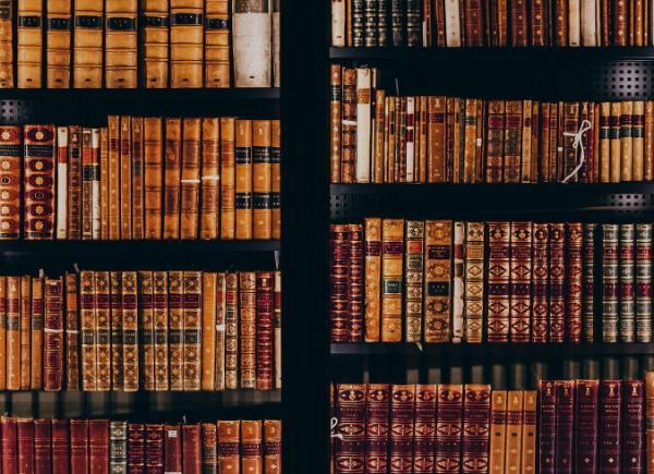 A shelf of brown library books