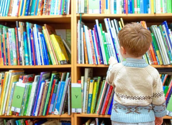 young child faces a vast bookcase full of children's books.