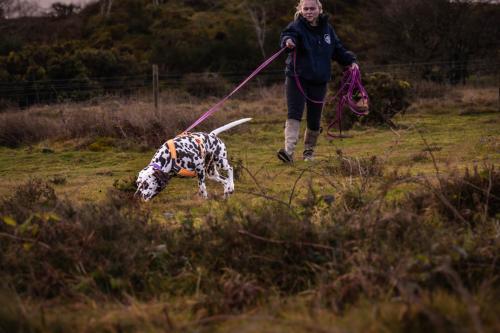 Natasha walking through a field with her dog on a lead