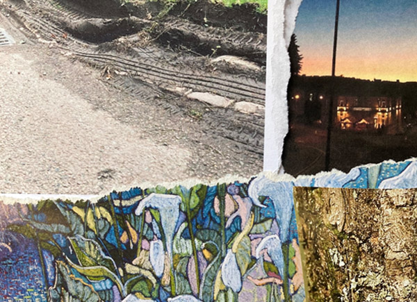 Collage of different images tyre tracks in mud impressionist version of lilies sunset over city