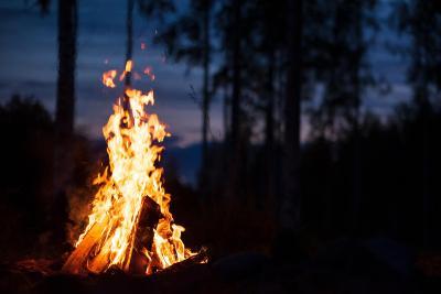 Campfire in forest at night